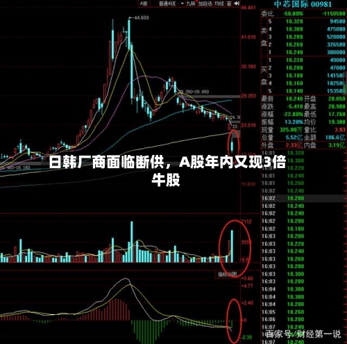 日韩厂商面临断供，A股年内又现3倍牛股-第2张图片