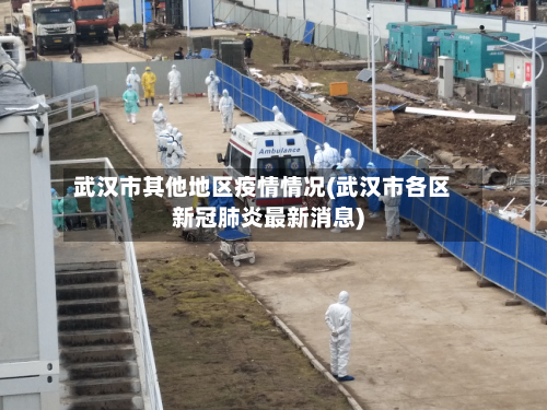 武汉市其他地区疫情情况(武汉市各区新冠肺炎最新消息)-第3张图片