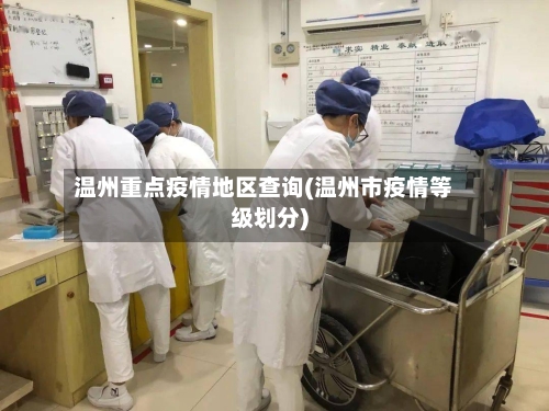 温州重点疫情地区查询(温州市疫情等级划分)-第2张图片