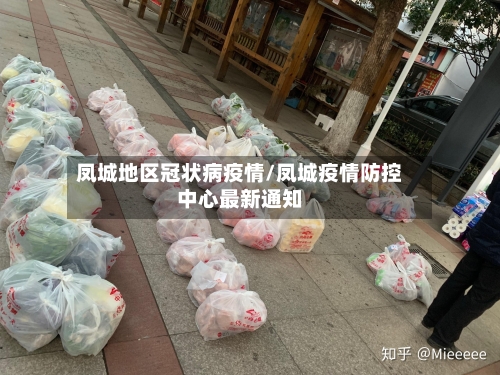 凤城地区冠状病疫情/凤城疫情防控中心最新通知-第3张图片