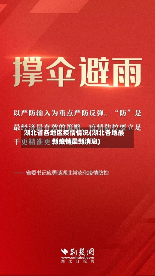 湖北省各地区疫情情况(湖北各地最新疫情最新消息)-第3张图片