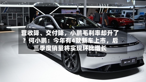 营收降、交付降，小鹏毛利率却升了？何小鹏：今年有4款新车上市	，后三季度销量将实现环比增长-第2张图片