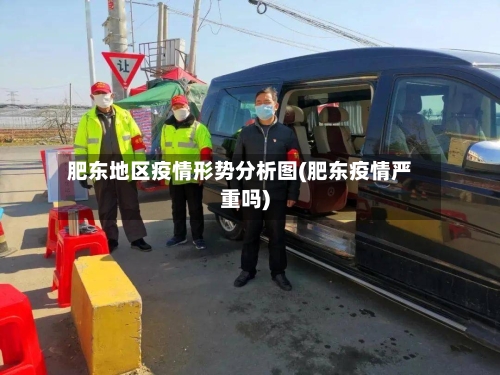 肥东地区疫情形势分析图(肥东疫情严重吗)