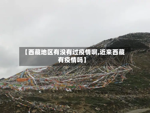 【西藏地区有没有过疫情啊,近来西藏有疫情吗】-第3张图片