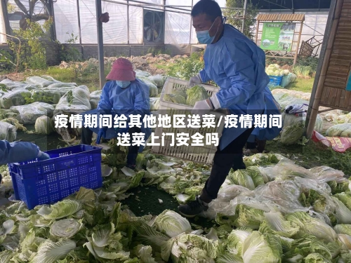 疫情期间给其他地区送菜/疫情期间送菜上门安全吗