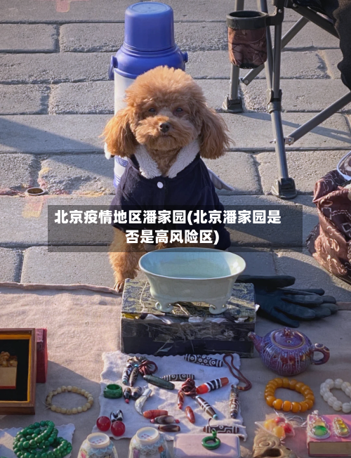 北京疫情地区潘家园(北京潘家园是否是高风险区)-第2张图片