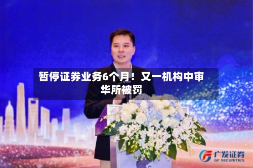 暂停证券业务6个月！又一机构中审华所被罚-第3张图片