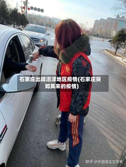 石家庄出现沼泽地区疫情(石家庄突如其来的疫情)-第2张图片