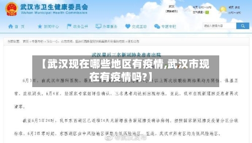 【武汉现在哪些地区有疫情,武汉市现在有疫情吗?】-第3张图片