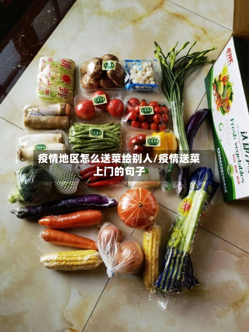疫情地区怎么送菜给别人/疫情送菜上门的句子-第2张图片