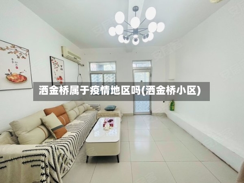 洒金桥属于疫情地区吗(洒金桥小区)