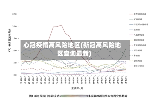 心冠疫情高风险地区(新冠高风险地区查询最新)