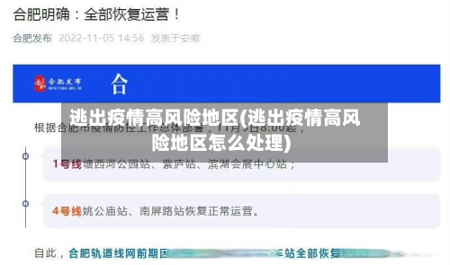 逃出疫情高风险地区(逃出疫情高风险地区怎么处理)