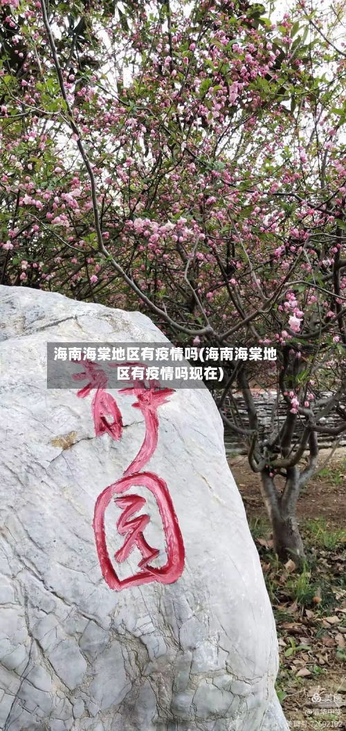 海南海棠地区有疫情吗(海南海棠地区有疫情吗现在)