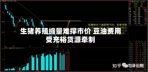 生猪养殖缩量难撑市价 豆油费用受充裕货源牵制-第2张图片