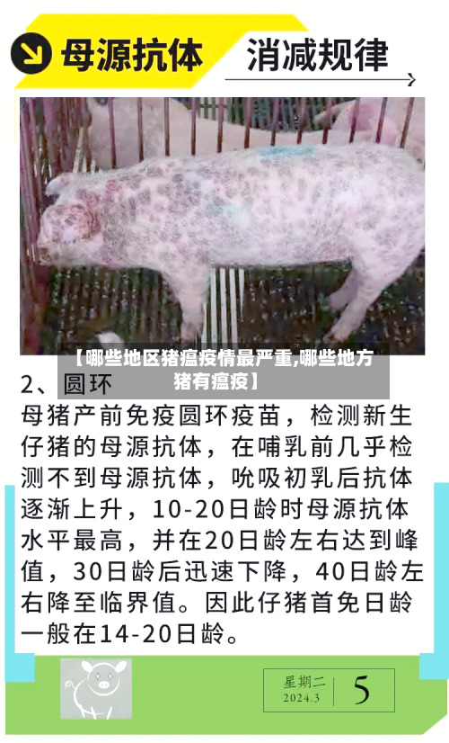 【哪些地区猪瘟疫情最严重,哪些地方猪有瘟疫】