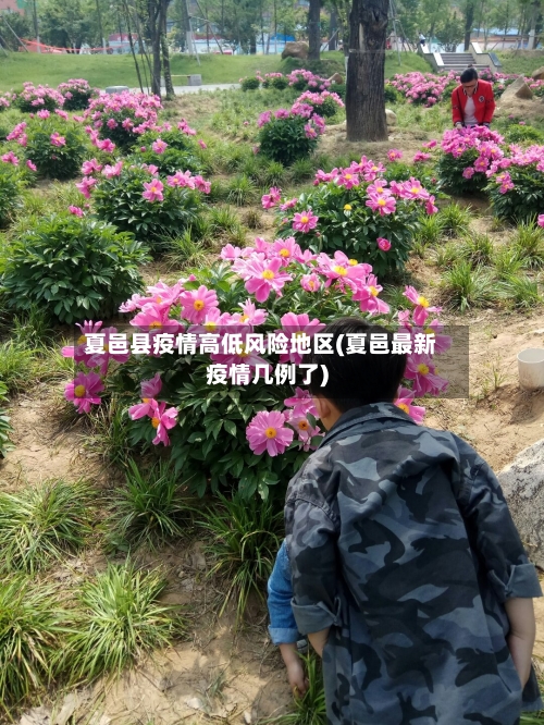 夏邑县疫情高低风险地区(夏邑最新疫情几例了)