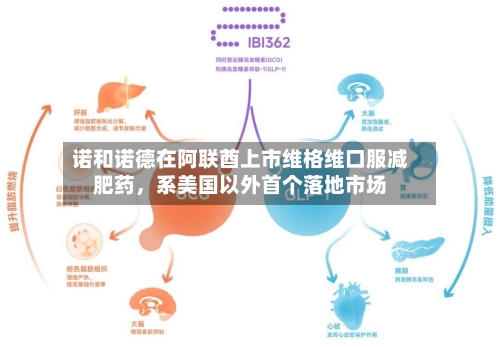 诺和诺德在阿联酋上市维格维口服减肥药，系美国以外首个落地市场-第2张图片