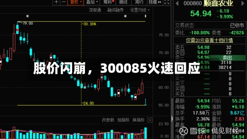 股价闪崩，300085火速回应