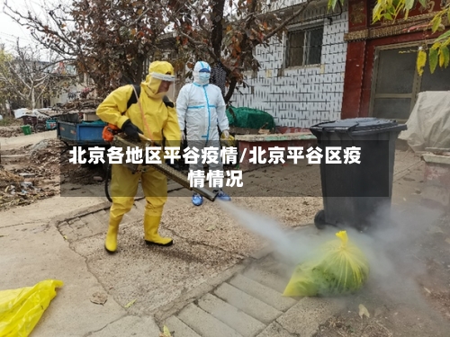 北京各地区平谷疫情/北京平谷区疫情情况
