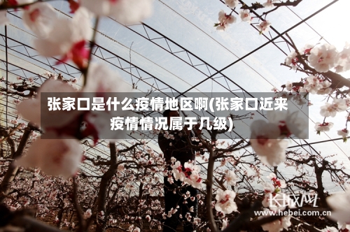 张家口是什么疫情地区啊(张家口近来疫情情况属于几级)