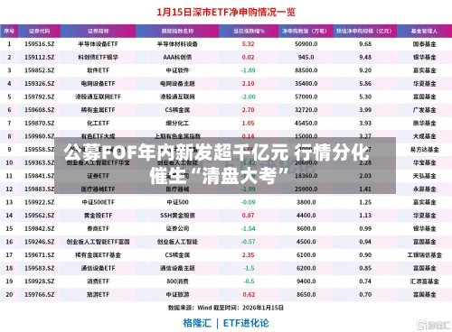 公募FOF年内新发超千亿元 行情分化催生“清盘大考”-第3张图片