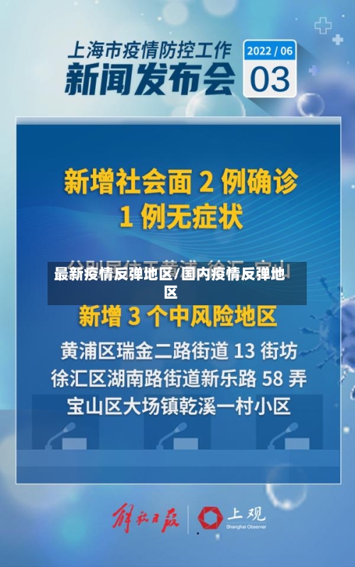 最新疫情反弹地区/国内疫情反弹地区-第2张图片