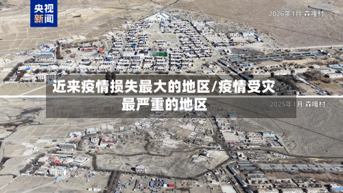 近来疫情损失最大的地区/疫情受灾最严重的地区-第3张图片