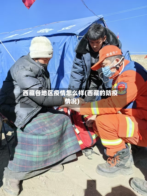 西藏各地区疫情怎么样(西藏的防疫情况)
