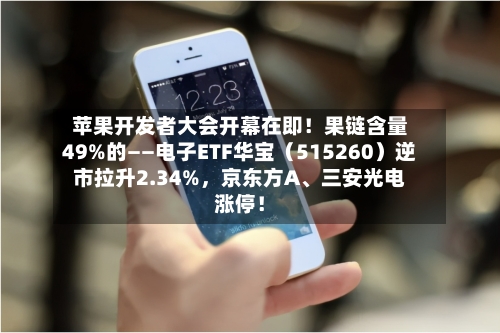 苹果开发者大会开幕在即！果链含量49%的——电子ETF华宝（515260）逆市拉升2.34%，京东方A	、三安光电涨停！-第3张图片