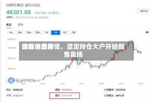 比特币费用接连创出新低，坚定持仓大户开始抛售离场